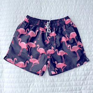 Snapper Rock Flamingo Swim Trunks